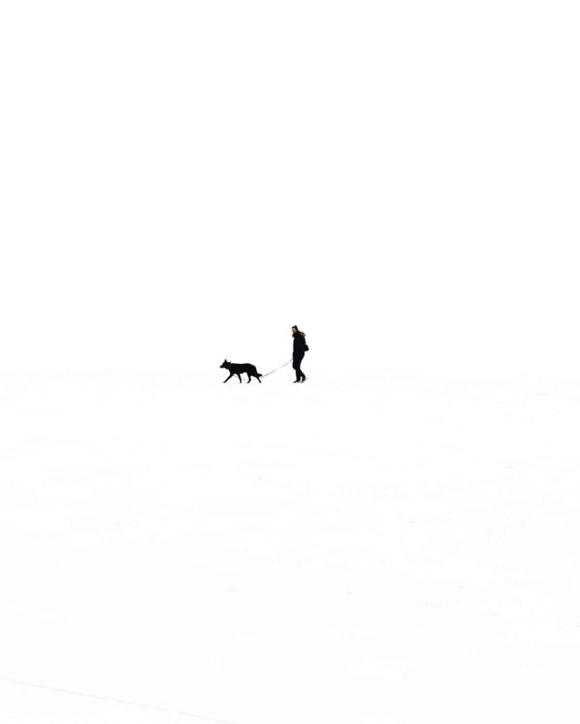 masterstudy_placeholder